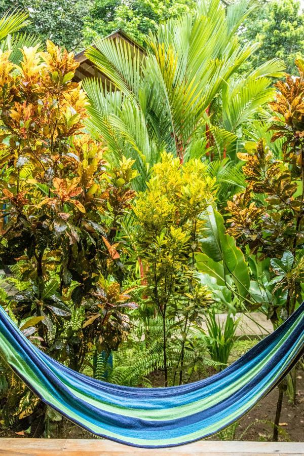 Relax Natural Village Adults Only Puerto Viejo de Talamanca Eksteriør billede