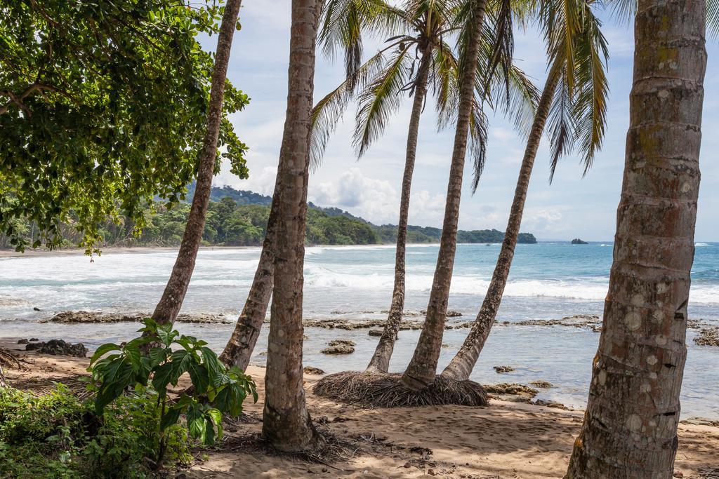 Relax Natural Village Adults Only Puerto Viejo de Talamanca Eksteriør billede